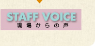 STAFF VOICE 現場からの声