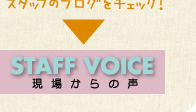 STAFF VOICE 現場からの声