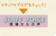 STAFF VOICE 現場からの声