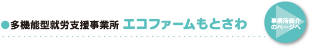 ●多機能型就労支援事業所 エコファーム「もとさわ」