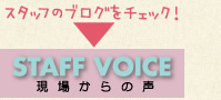STAFF VOICE 現場からの声