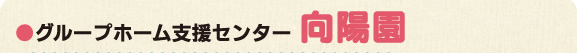●グループホーム支援センター「向陽園」