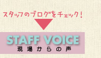 STAFF VOICE 現場からの声