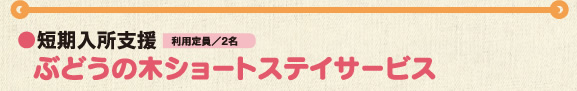   ぶどうの木ショートステイサービス