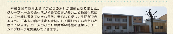 平成２８年５月より『ぶどうの木』が開所となりました。グループホームでの生活が初めての方が多いため地域生活について一緒に考えていきながら、安心して楽しい生活ができるよう、ご本人の自己決定を大切にして関わっていきたいと思っています。お一人おひとりの障がい特性を理解し、チームアプローチを実践していきます。